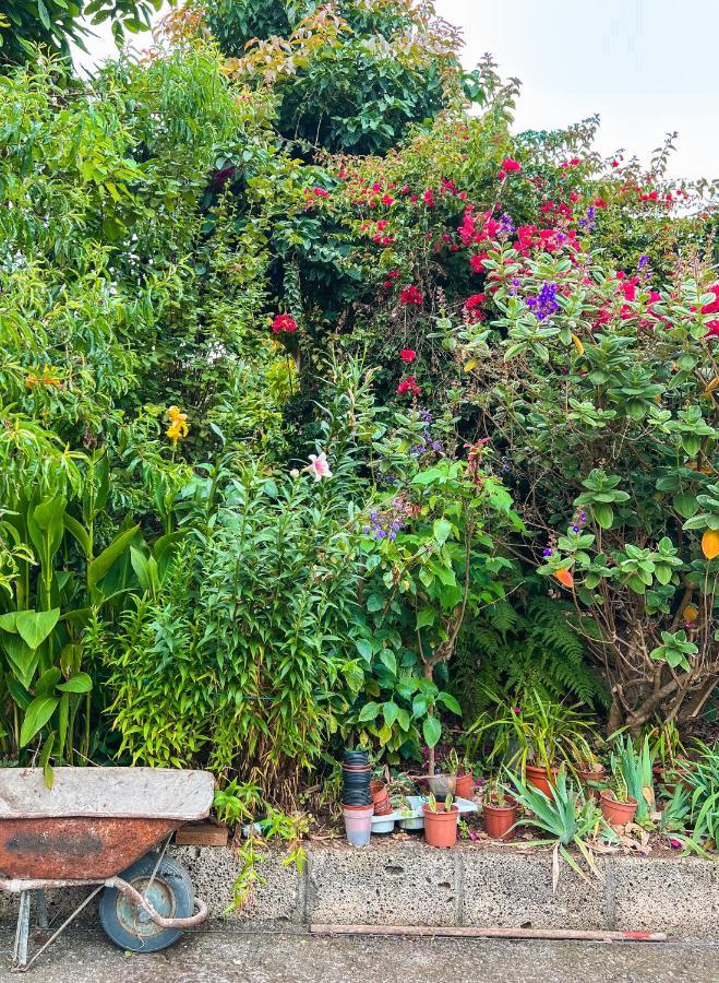 לה אורוטבה Apartment With Huge Deck Nestled In Marvelous Gardens - Nidos מראה חיצוני תמונה
