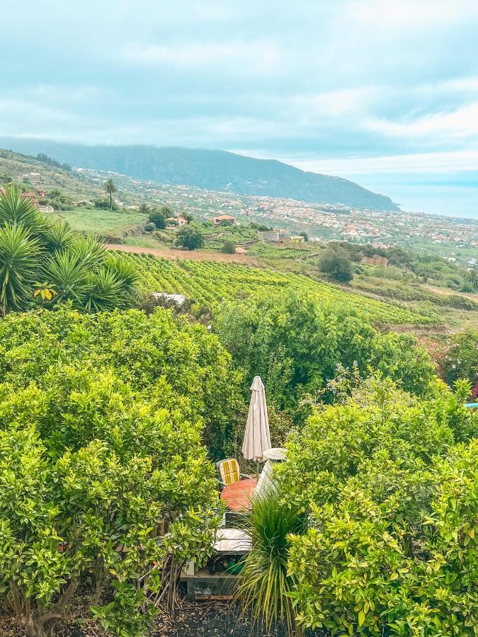 לה אורוטבה Apartment With Huge Deck Nestled In Marvelous Gardens - Nidos מראה חיצוני תמונה